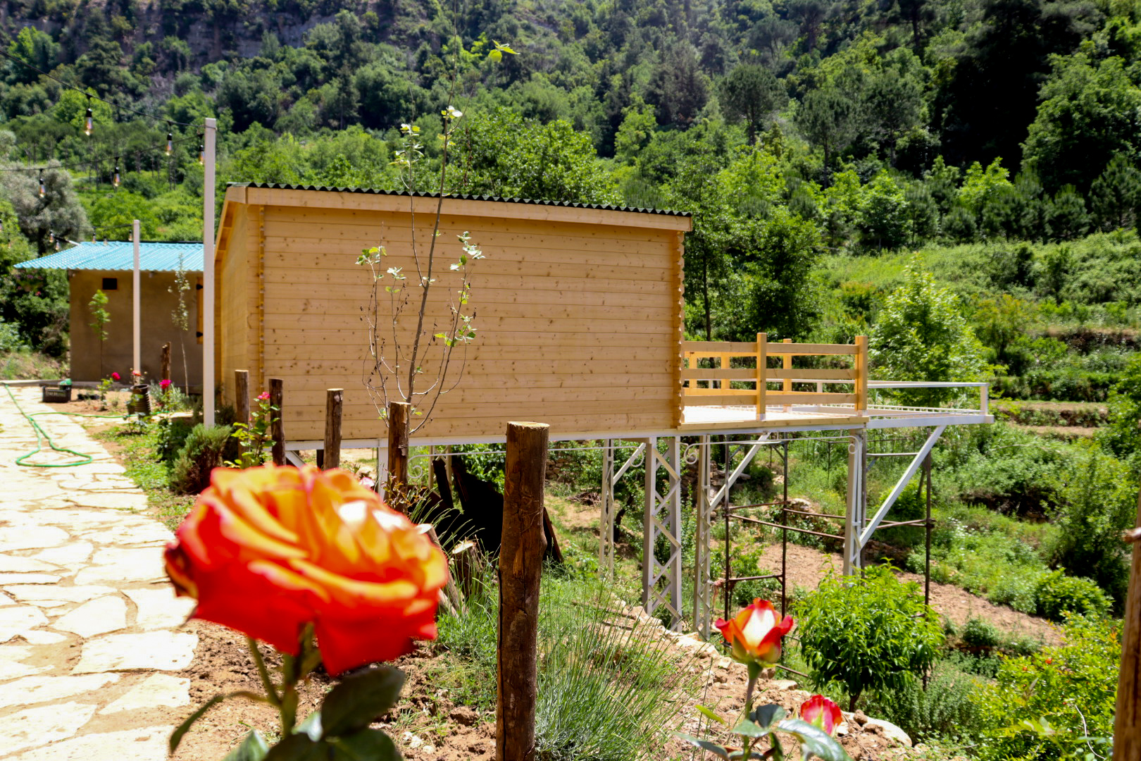 Accommodation